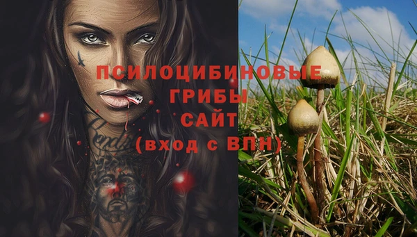 прущая мука Алзамай