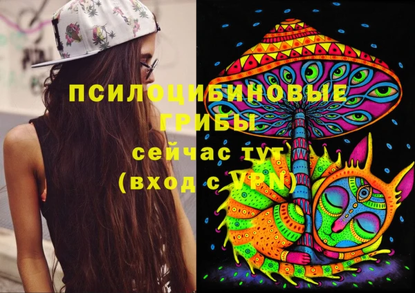 прущая мука Алзамай