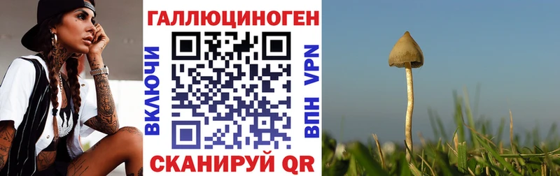 Псилоцибиновые грибы мицелий  Бакал 